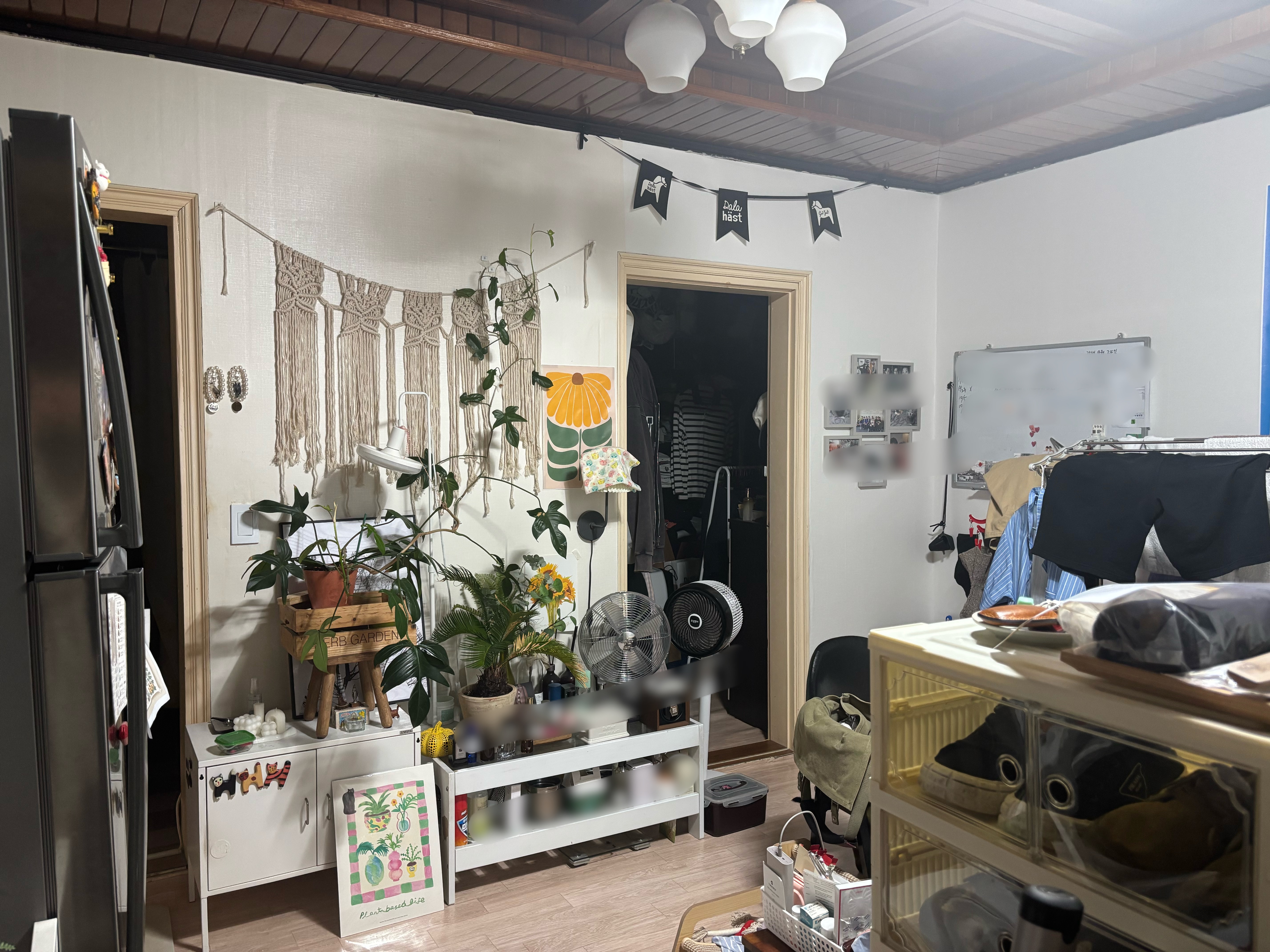 단독/다가구 월세